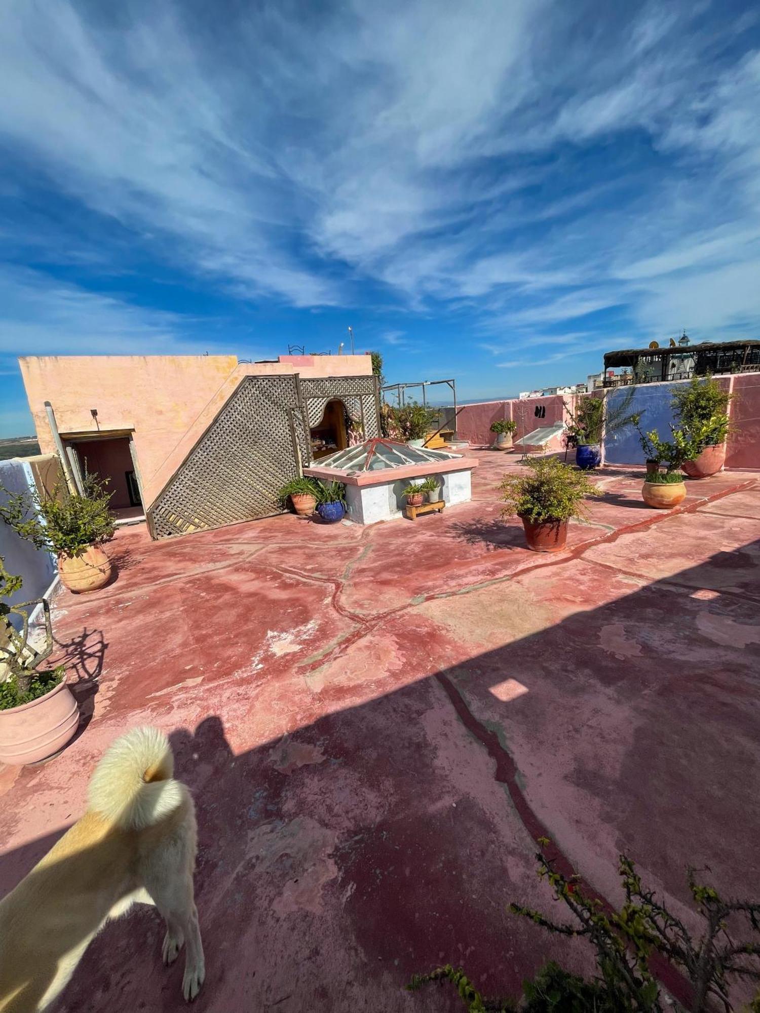 La Maison Haute Larache Morocco Eksteriør billede